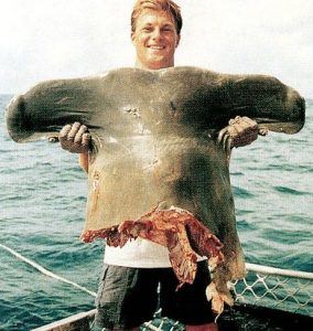 9 Creepy Photos of What Lurks Underwater (You’ll Think Twice Before Swimming)