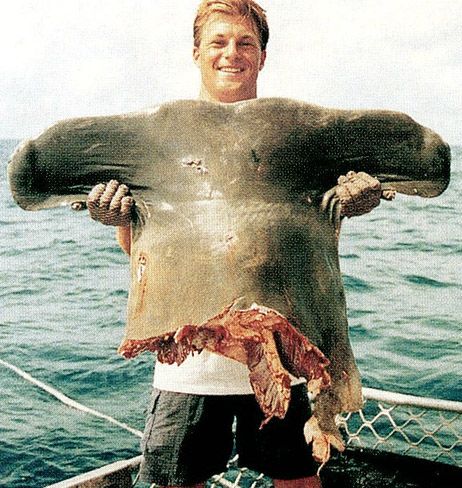 9 Creepy Photos of What Lurks Underwater (You’ll Think Twice Before Swimming)