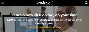 Learn New Skills Online