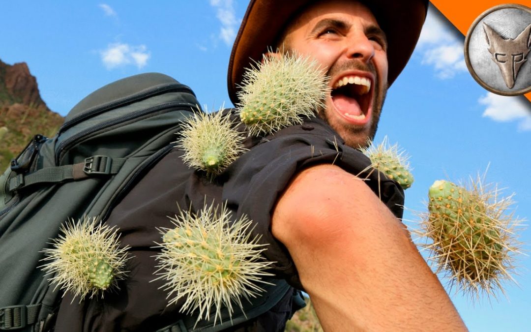 Extreme Cactus Attack!