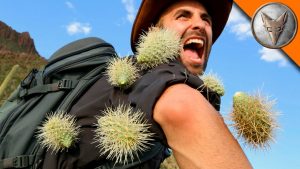 Extreme Cactus Attack!